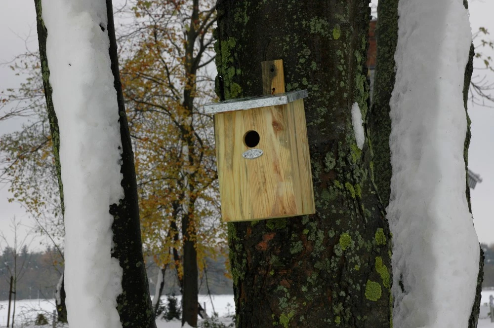 Esschert Vogelhuis Spiegelnestkast 9 Esschert Vogelhuis Spiegelnestkast - Afbeelding 9