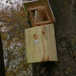 Esschert Vogelhuis Spiegelnestkast 16 Esschert Vogelhuis Spiegelnestkast -Bijzondere Tuin Verkoop NKY 41