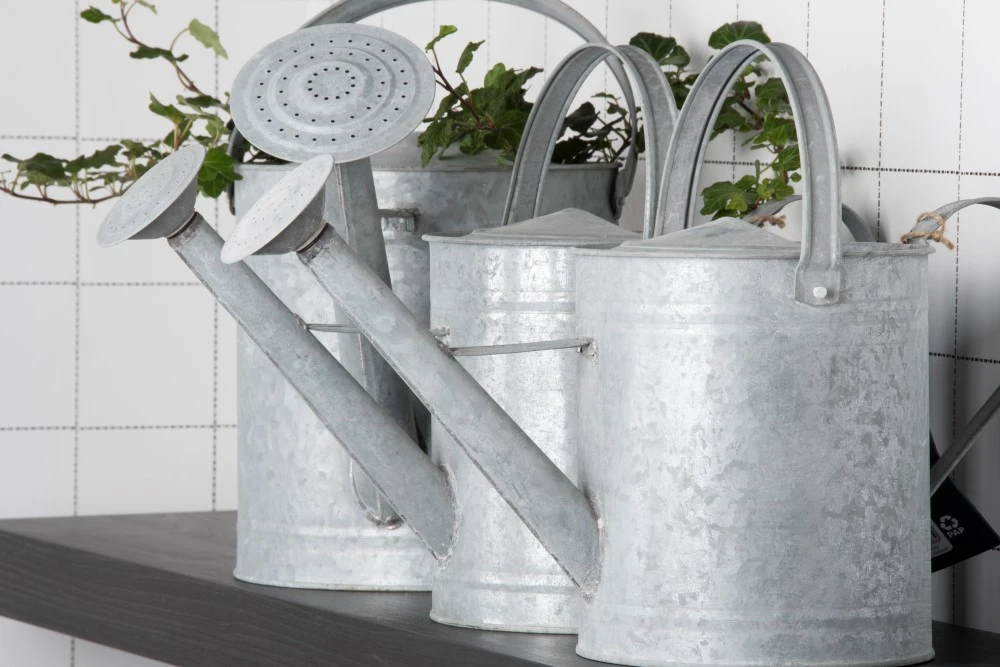 Esschert Gieter Oud Zink XL 4 Esschert Gieter Oud Zink XL - Afbeelding 4