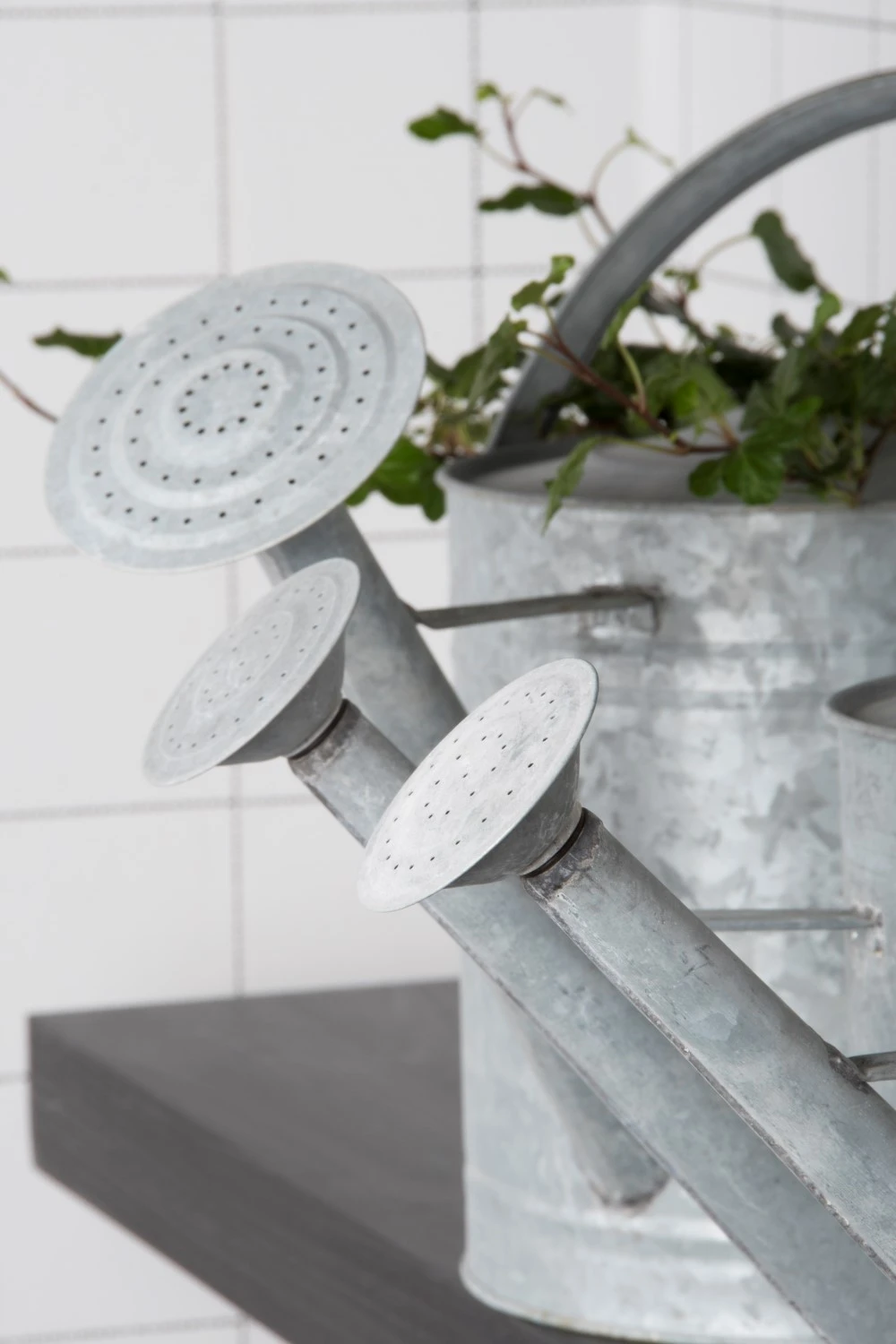 Esschert Gieter Oud Zink XL 3 Esschert Gieter Oud Zink XL - Afbeelding 3