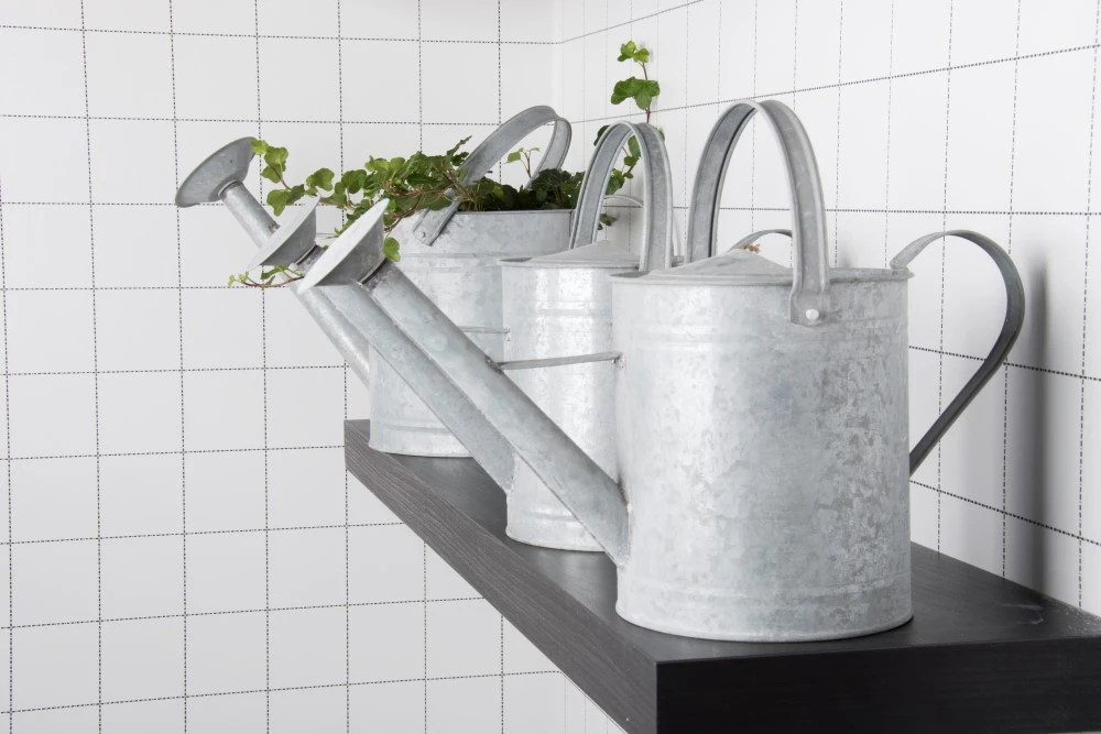 Esschert Gieter Oud Zink XL 10 Esschert Gieter Oud Zink XL - Afbeelding 10