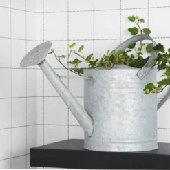 Esschert Gieter Oud Zink XL 21 Esschert Gieter Oud Zink XL -Bijzondere Tuin Verkoop OZ46 51