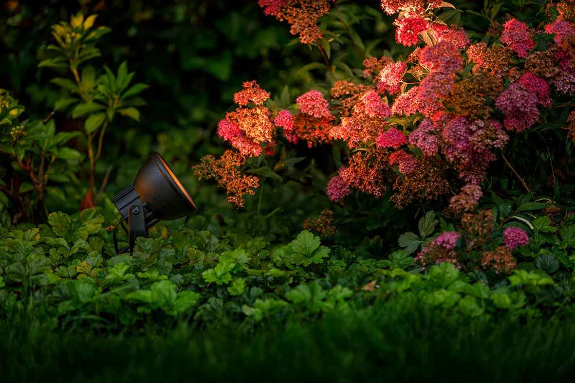 Garden Lights Tuinspot Raf LED 3 Garden Lights Tuinspot Raf LED - Afbeelding 3