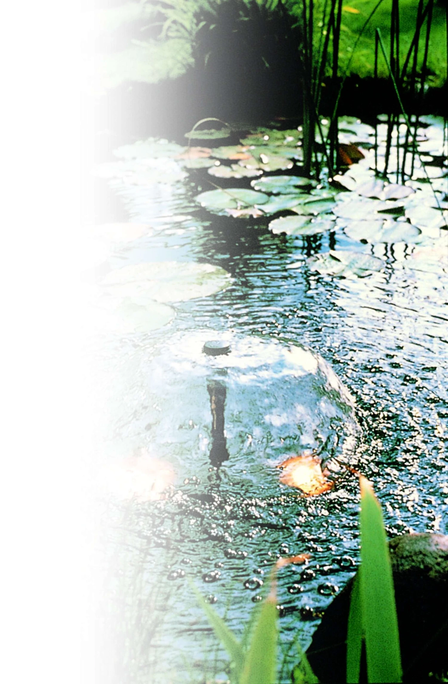 Ubbink Fonteinpomp Xtra 350 2 Ubbink Fonteinpomp Xtra 350 - Afbeelding 2