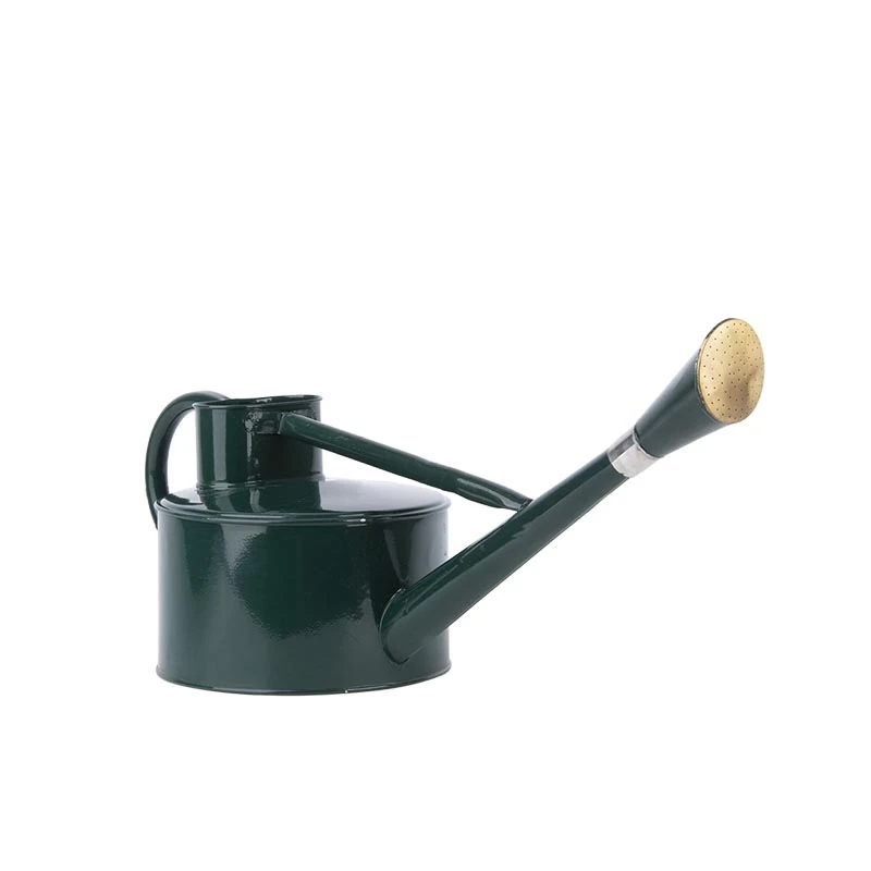 Esschert Gieter Klassiek Groen 5L 7 Esschert Gieter Klassiek Groen 5L - Afbeelding 7