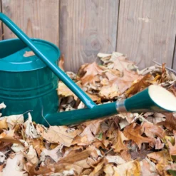 Esschert Gieter Klassiek Groen 7.5 L -Bijzondere Tuin Verkoop TG172 40