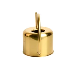 Esschert Kamerplanten Gieter Goud 1 L -Bijzondere Tuin Verkoop TG237 04