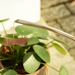 Esschert Kamerplanten Gieter Goud 1 L -Bijzondere Tuin Verkoop TG237 40