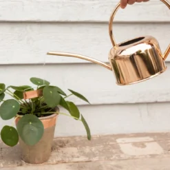 Esschert Kamerplanten Gieter Goud 1 L -Bijzondere Tuin Verkoop TG237 41