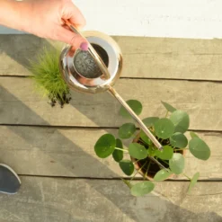 Esschert Kamerplanten Gieter Goud 1 L -Bijzondere Tuin Verkoop TG237 44