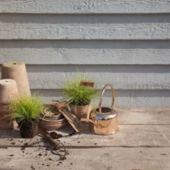 Esschert Kamerplanten Gieter Goud 1 L -Bijzondere Tuin Verkoop TG237 45