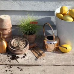 Esschert Kamerplanten Gieter Goud 1 L -Bijzondere Tuin Verkoop TG237 46