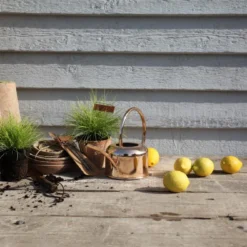 Esschert Kamerplanten Gieter Goud 1 L -Bijzondere Tuin Verkoop TG237 47