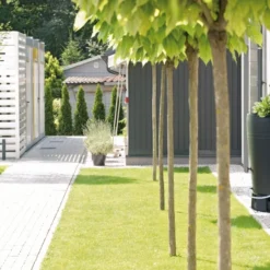 Tube Regenton 2 In 1 230 Liter Antraciet Met Voet En Aftap En Vu -Bijzondere Tuin Verkoop TUBE IDM230 S433 aranz 01.png