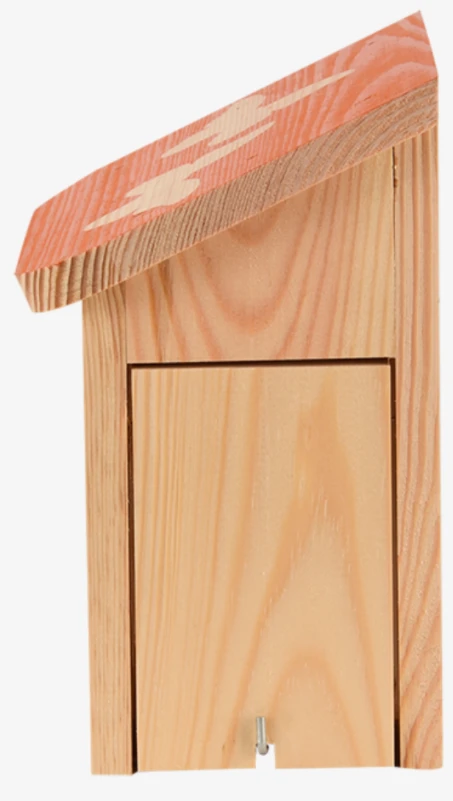 Esschert Diapositief Vlinderkast 2 Esschert Diapositief Vlinderkast - Afbeelding 2