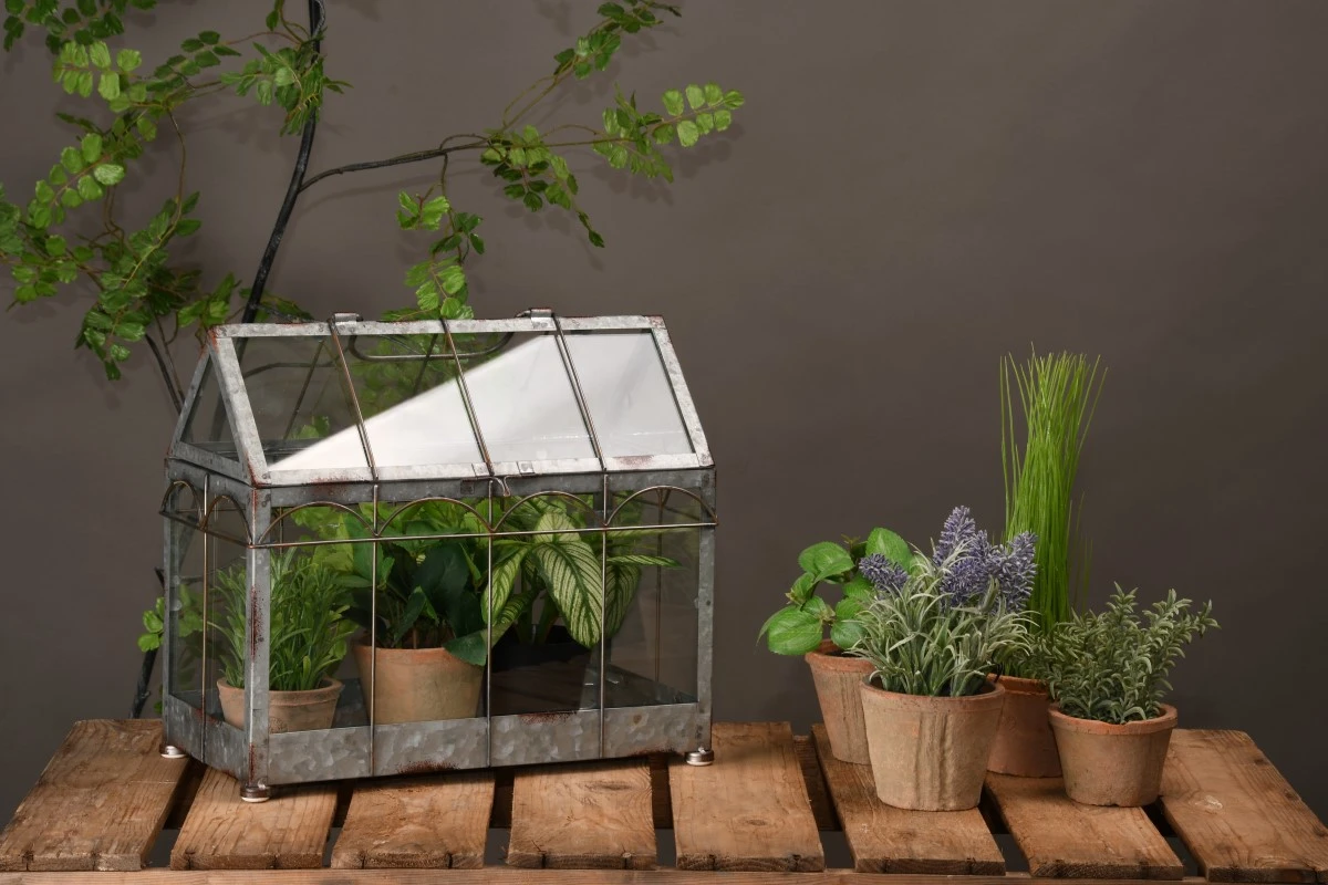 Esschert Kweekkas M 2 Esschert Kweekkas M - Afbeelding 2