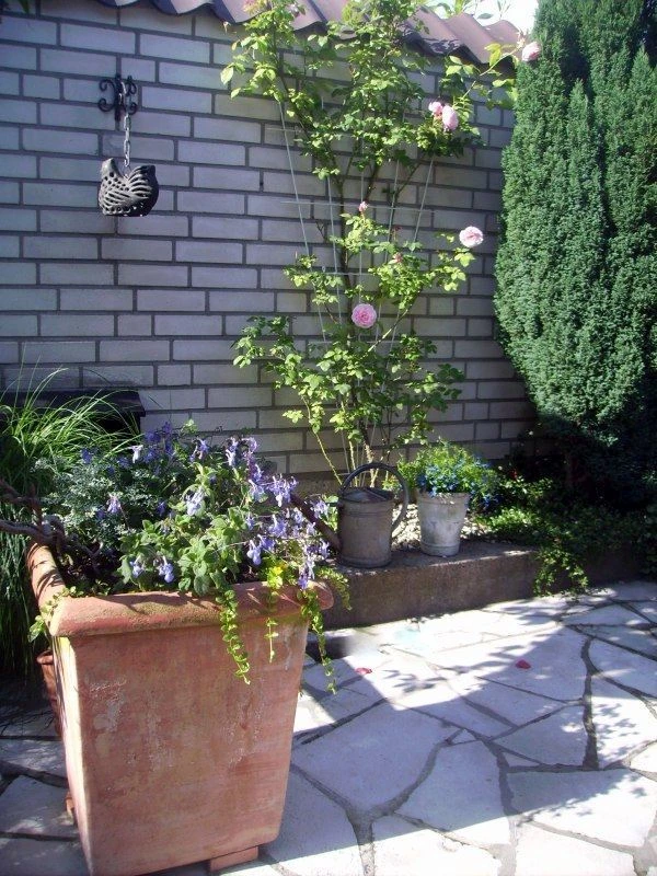 Nature Klimplantrek V-Vorm Metaal Groen 145 X 5/75 Cm 2 Nature Klimplantrek V-Vorm Metaal Groen 145 X 5/75 Cm - Afbeelding 2