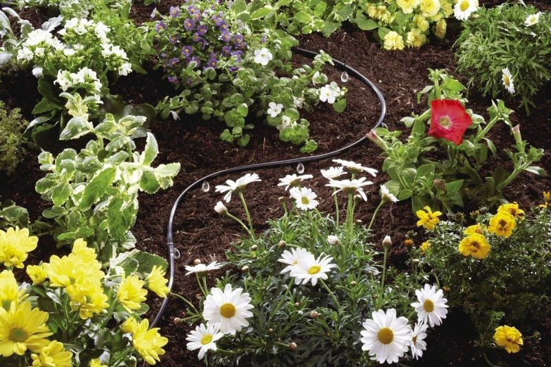 Gardena Micro Drip Druppelslang Bovengronds Ø 4.6 Mm 15 Meter 2 Gardena Micro Drip Druppelslang Bovengronds Ø 4.6 Mm 15 Meter - Afbeelding 2