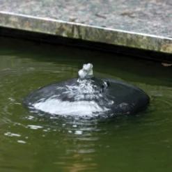 Velda Drijvend Filter Met Fontein 2500 9 Velda Drijvend Filter Met Fontein 2500 -Bijzondere Tuin Verkoop b7c9c93d950ef81f4451b081d4af9b4c