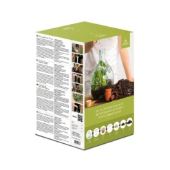 Esschert AGG62 Plant Terrarium | Doe Het Zelf Planten Terrarium 5 Esschert AGG62 Plant Terrarium | Doe Het Zelf Planten Terrarium -Bijzondere Tuin Verkoop esschert agg62 plantterrarium doe het zelf 1
