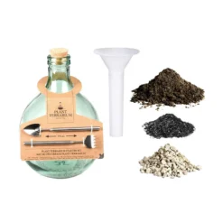 Esschert AGG62 Plant Terrarium | Doe Het Zelf Planten Terrarium