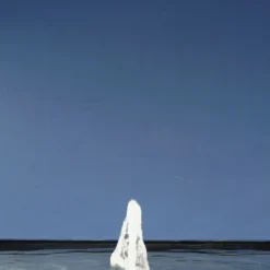 Oase Fontein Sproeikop Schuimbron 22-5 K 5 Oase Fontein Sproeikop Schuimbron 22-5 K -Bijzondere Tuin Verkoop fontein sproeikop oase schuimbron 22 5 k voorbeeld 1