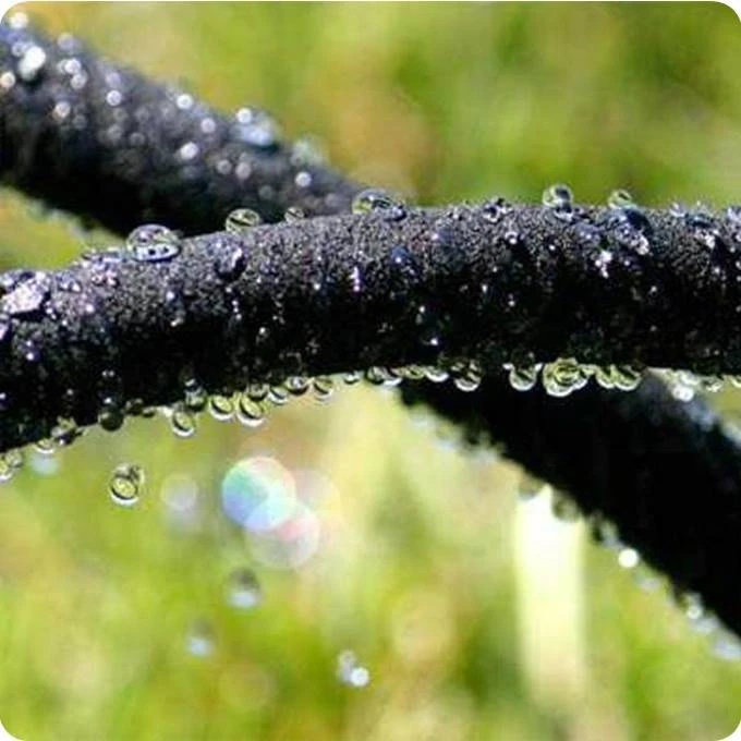 Hozelock Druppelslang Poreus Ø 12,5 Mm - 15 Meter 2 Hozelock Druppelslang Poreus Ø 12,5 Mm - 15 Meter - Afbeelding 2