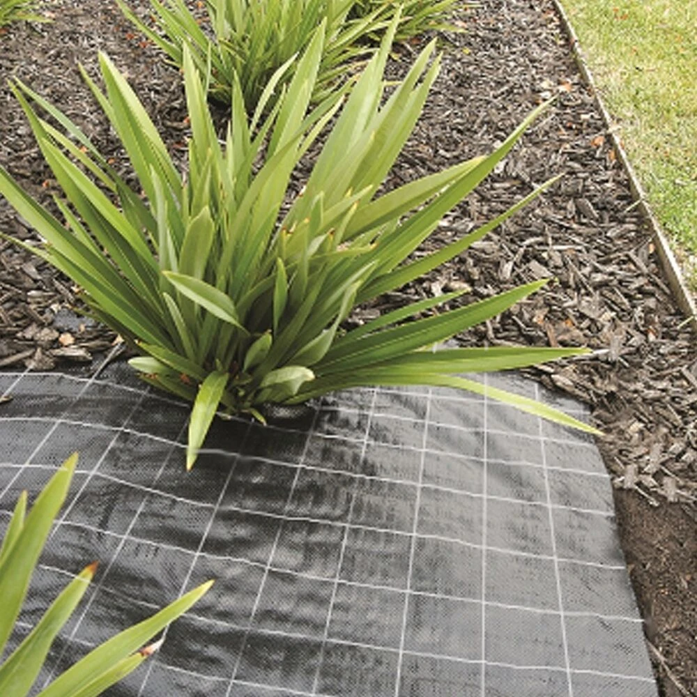 Anti-worteldoek Kleinverpakking 5,20 X 5 Mtr PAKKET 3 Anti-worteldoek Kleinverpakking 5,20 X 5 Mtr PAKKET - Afbeelding 3