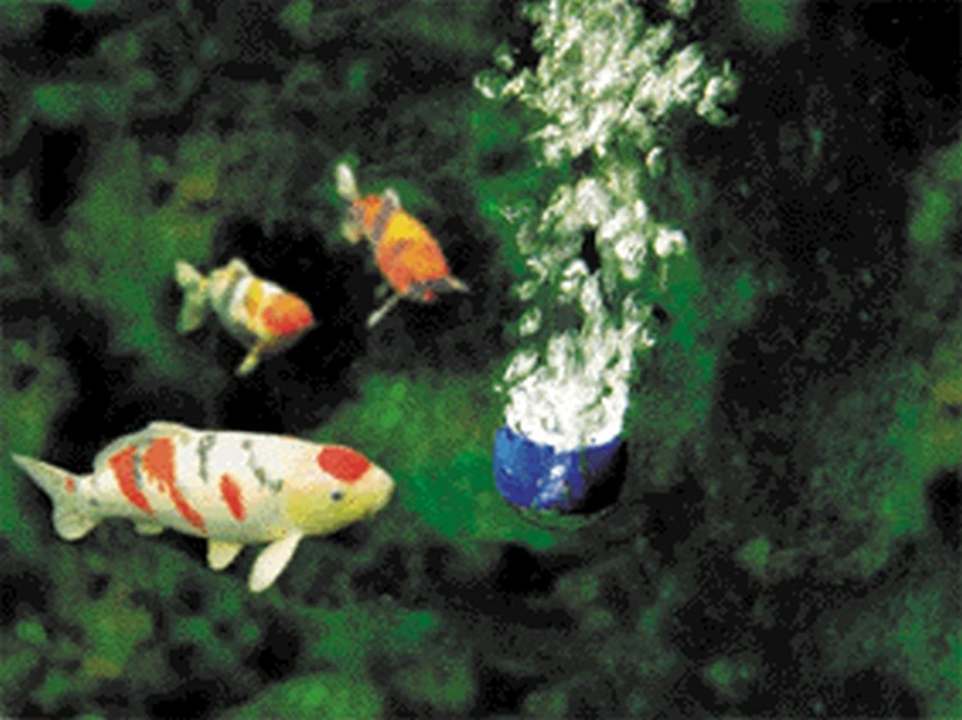 Oase Aquaoxy 500 2 Oase Aquaoxy 500 - Afbeelding 2