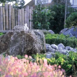 Oase Aquarius Universal 1500 -Bijzondere Tuin Verkoop oase aquarius universal 1500 fonteinpomp 003