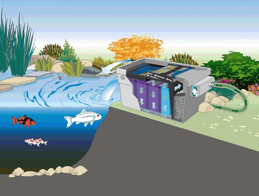 Oase Bitron C 110 Watt 2 Oase Bitron C 110 Watt - Afbeelding 2