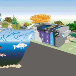 Oase Bitron C 72 Watt -Bijzondere Tuin Verkoop oase bitron c 72 watt 006