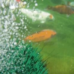 Oase Oxytex 1000 6 Oase Oxytex 1000 -Bijzondere Tuin Verkoop oase oxytex 1000 04