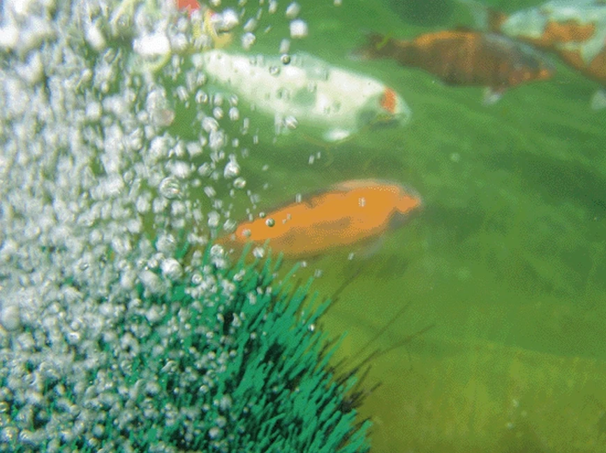 Oase Oxytex 400 2 Oase Oxytex 400 - Afbeelding 2