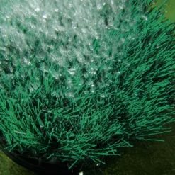 Oase Oxytex Set 1000 7 Oase Oxytex Set 1000 -Bijzondere Tuin Verkoop oase oxytex set 1000 03