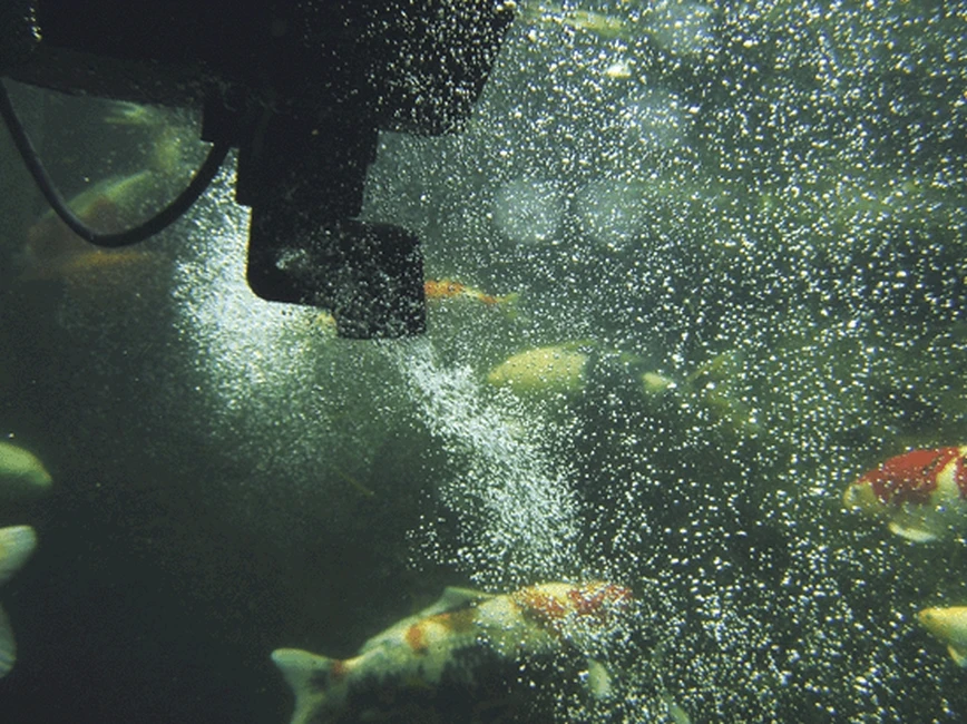 Oase Swimskim 50 2 Oase Swimskim 50 - Afbeelding 2