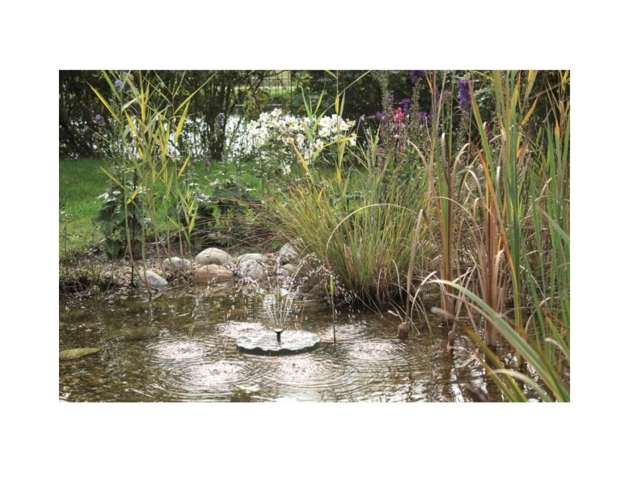 Pontec Fonteinpomp Pondosolar Lily Island 2 Pontec Fonteinpomp Pondosolar Lily Island - Afbeelding 2