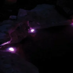 OASE Pontec PondoStar LED RGBW Set 3 -Bijzondere Tuin Verkoop pontec pondostar led rgbw set 3 2 1