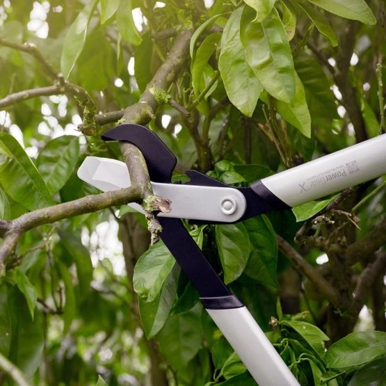 Fiskars Takkenschaar LX94 Powergear - 64 Cm 2 Fiskars Takkenschaar LX94 Powergear - 64 Cm - Afbeelding 2