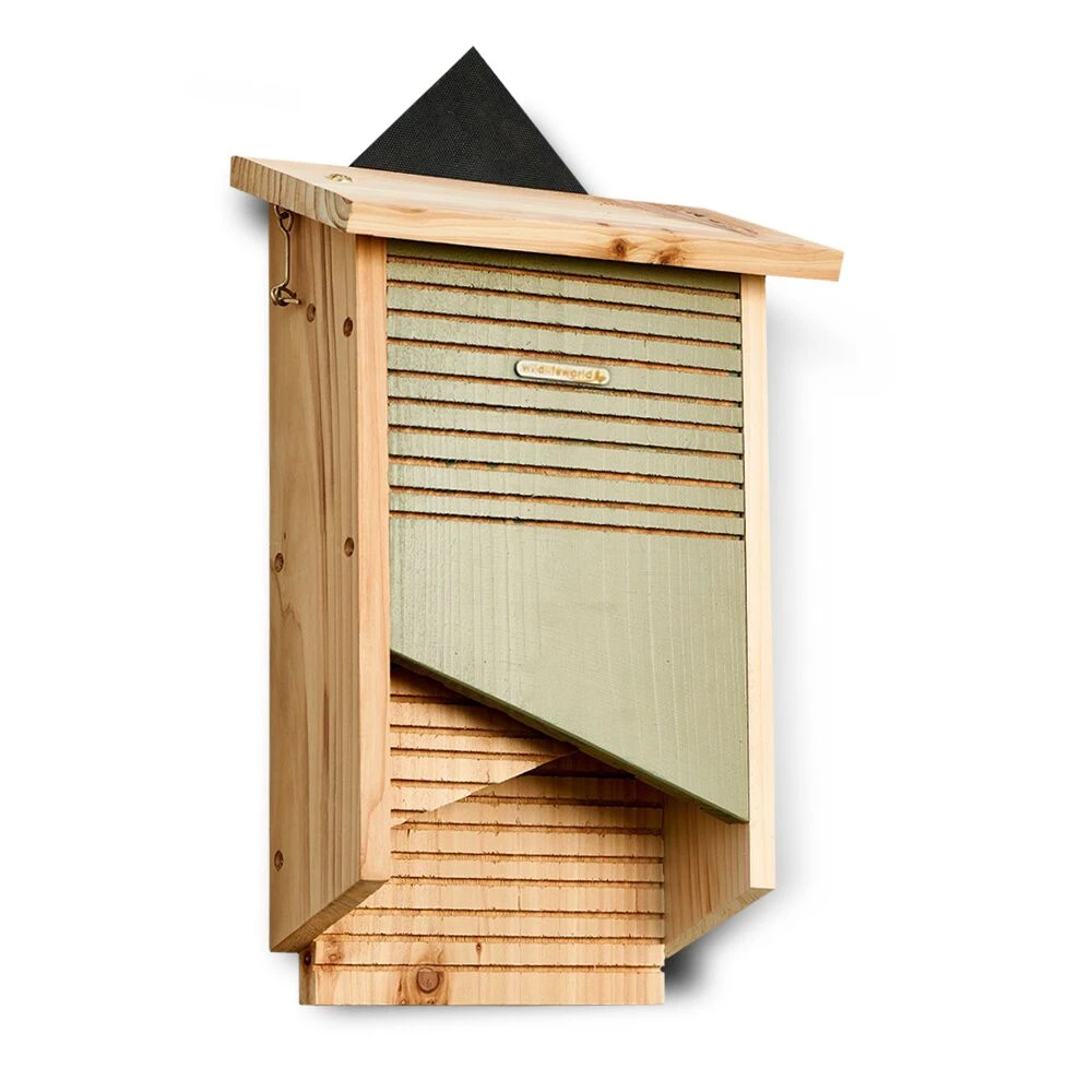 Vleermuishuis Conservation | Vleermuizen 1 Vleermuishuis Conservation | Vleermuizen