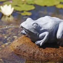 Oase Spuitfiguur Kikker 3 Oase Spuitfiguur Kikker -Bijzondere Tuin Verkoop spuitfiguur kikker 36774 voorbeeld