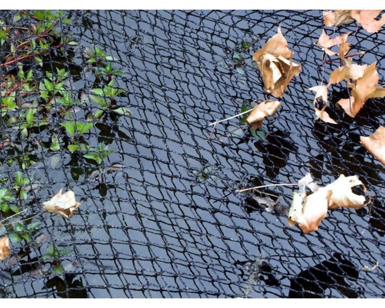 Velda Covernet 2x3m 3 Velda Covernet 2x3m - Afbeelding 3