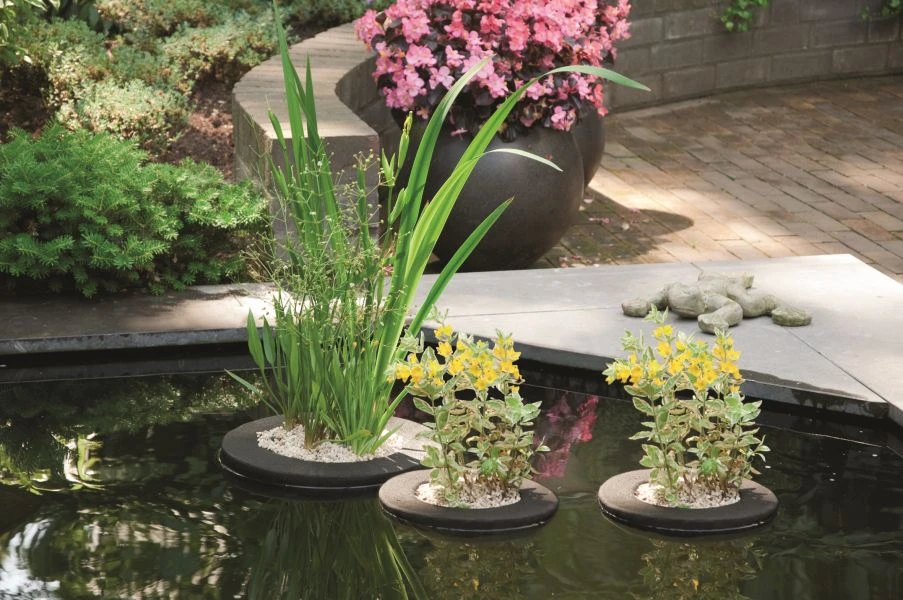 Velda Drijvend Planteneiland Vierkant 35 Cm 2 Velda Drijvend Planteneiland Vierkant 35 Cm - Afbeelding 2